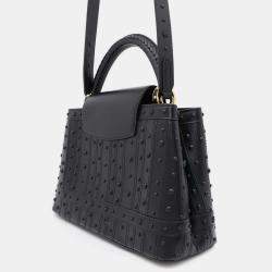 Louis Vuitton Arty Capucines Collection Peter Marino Noir Taurillon Size MM