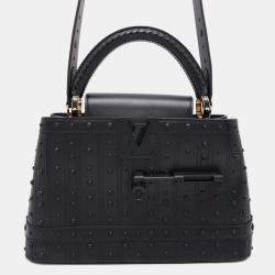 Louis Vuitton Arty Capucines Collection Peter Marino Noir Taurillon Size MM