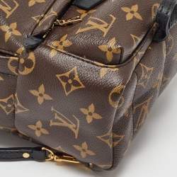 Louis Vuitton Monogram Canvas Mini Palm Springs Backpack