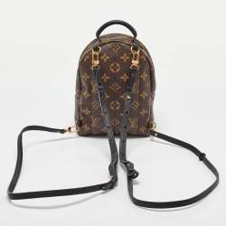Louis Vuitton Monogram Canvas Mini Palm Springs Backpack