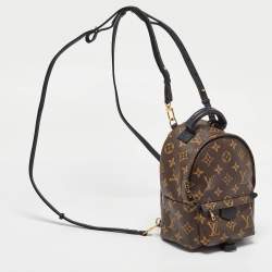 Louis Vuitton Monogram Canvas Mini Palm Springs Backpack