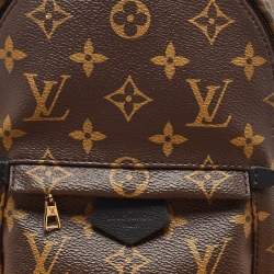 Louis Vuitton Monogram Canvas Mini Palm Springs Backpack