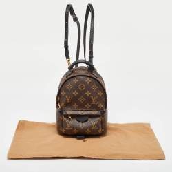 Louis Vuitton Monogram Canvas Mini Palm Springs Backpack
