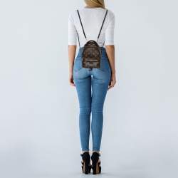 Louis Vuitton Monogram Canvas Mini Palm Springs Backpack