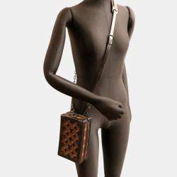 Louis Vuitton Monogram Brown Pet Odor Vertical Soft Trunk Shoulder Bag