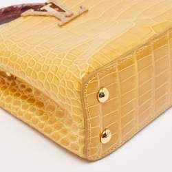 Pre Owned Louis Vuitton Tricolor Crocodile Capucines Mini Bag