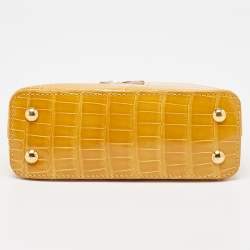 Pre Owned Louis Vuitton Tricolor Crocodile Capucines Mini Bag