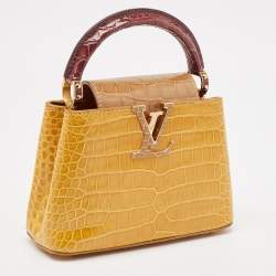 Pre Owned Louis Vuitton Tricolor Crocodile Capucines Mini Bag