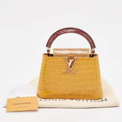Pre Owned Louis Vuitton Tricolor Crocodile Capucines Mini Bag