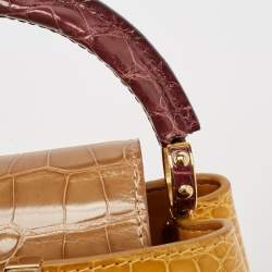 Pre Owned Louis Vuitton Tricolor Crocodile Capucines Mini Bag