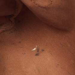 Pre Owned Louis Vuitton Monogram Canvas Speedy 25 Bag