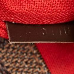 Louis Vuitton Damier Ebene Canvas Bloomsbury PM Bag