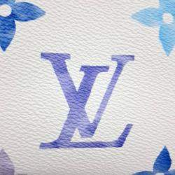 Louis Vuitton Multicolor Cosmetic Pouch