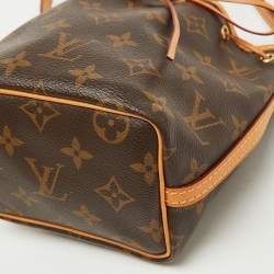 Louis Vuitton Monogram Canvas Nano Noe Bag