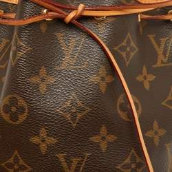 Louis Vuitton Monogram Canvas Nano Noe Bag