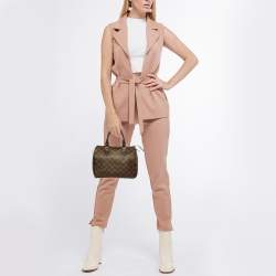Pre Owned Louis Vuitton Damier Ebene Canvas Speedy 25 Bag