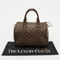 Pre Owned Louis Vuitton Damier Ebene Canvas Speedy 25 Bag