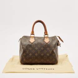 Pre Owned Louis Vuitton Monogram Canvas Speedy 25 Bag