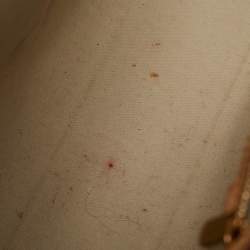 Pre Owned حقيبة لوي فيتون بيريه فيرنيه بلانك كوريل مونوغرامي GM 