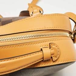 Louis Vuitton Safran Damier Ebene Santa Monica Bag