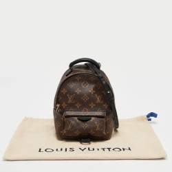 Louis Vuitton Monogram Canvas Mini Palm Springs Backpack