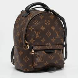 Louis Vuitton Monogram Canvas Mini Palm Springs Backpack