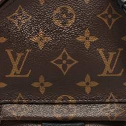 Louis Vuitton Monogram Canvas Mini Palm Springs Backpack
