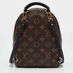 Louis Vuitton Monogram Canvas Mini Palm Springs Backpack