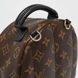 Louis Vuitton Monogram Canvas Mini Palm Springs Backpack