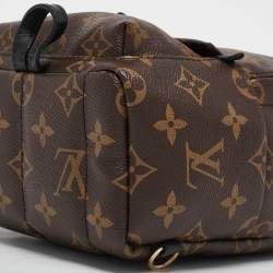 Louis Vuitton Monogram Canvas Mini Palm Springs Backpack