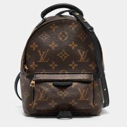 Louis Vuitton Monogram Canvas Mini Palm Springs Backpack