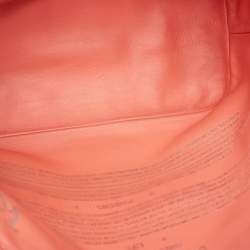 Louis Vuitton x Jeff Koons Pink Coated Canvas Da Vinci Master's Neverfull MM