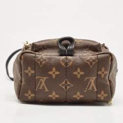 Louis Vuitton Monogram Canvas Mini Palm Springs Backpack