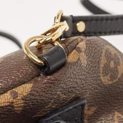 Louis Vuitton Monogram Canvas Mini Palm Springs Backpack