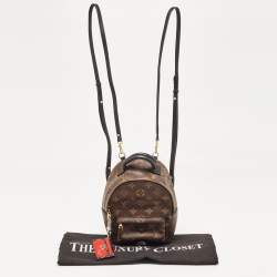 Louis Vuitton Monogram Canvas Mini Palm Springs Backpack