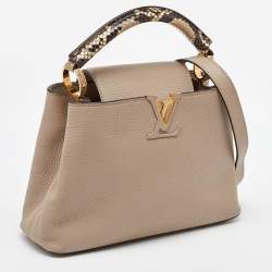 Pre Owned Louis Vuitton Galet Grey Python and Leather Capucines BB Bag