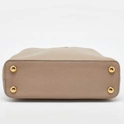 Pre Owned Louis Vuitton Galet Grey Python and Leather Capucines BB Bag