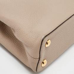 Pre Owned Louis Vuitton Galet Grey Python and Leather Capucines BB Bag