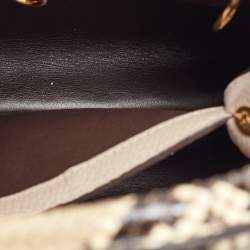 Pre Owned Louis Vuitton Galet Grey Python and Leather Capucines BB Bag