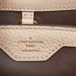 Pre Owned Louis Vuitton Galet Grey Python and Leather Capucines BB Bag