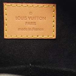 Louis Vuitton Silver Epi Spaceship Embossed Leather Speedy 25 Bag