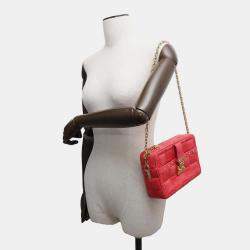 Louis Vuitton Rose Damier Giant Troca PM Bag
