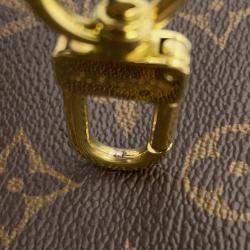 Louis Vuitton Brown Monogram Multi Pochette Accessoires Bag