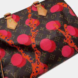 Louis Vuitton Brown/Red Monogram Monogram Ramage Speedy 30 Bag