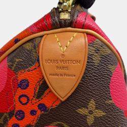 Louis Vuitton Brown/Red Monogram Monogram Ramage Speedy 30 Bag