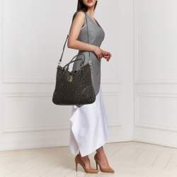 Louis Vuitton Fusain Monogram Idylle Canvas Elegie Bag
