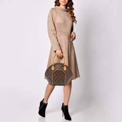 Pre Owned Louis Vuitton Monogram Canvas Ellipse PM Bag
