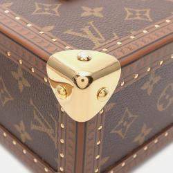 Louis Vuitton Brown Monogram Canvas Camera Bag
