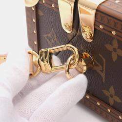 Louis Vuitton Brown Monogram Canvas Camera Bag