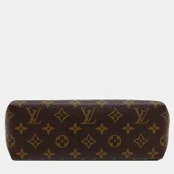 Louis Vuitton Brown Monogram Canvas Palace Beauty Case